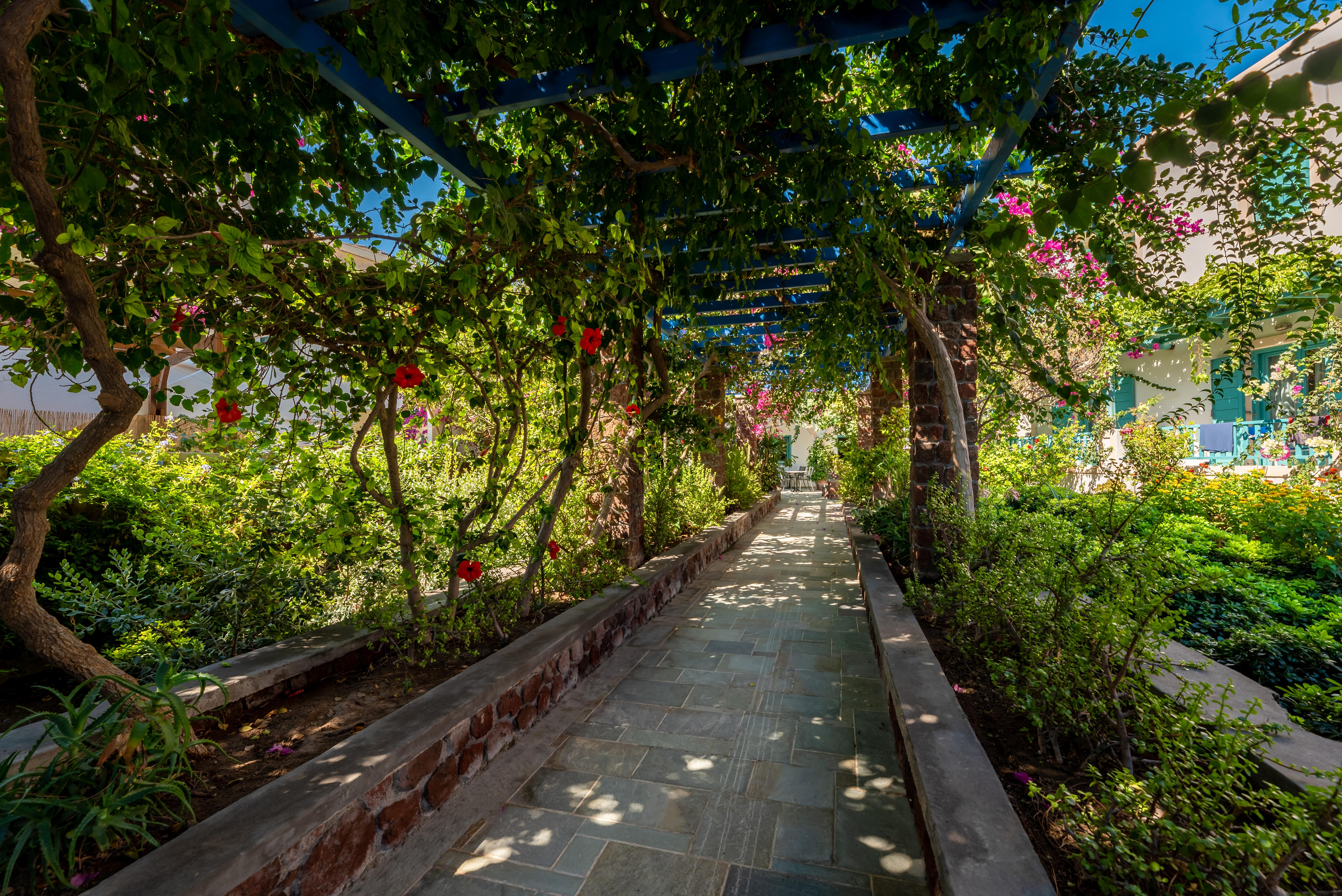 Hotel Andreas คามารี ภายนอก รูปภาพ